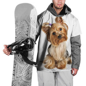 Накидка на куртку 3D с принтом Красотка в Тюмени, 100% полиэстер |  | fashion | животное | красавица | лучший друг | модница | няша | причёска | собака | собачка | щенок | щеночек