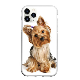 Чехол для iPhone 11 Pro матовый с принтом Красотка в Тюмени, Силикон |  | fashion | животное | красавица | лучший друг | модница | няша | причёска | собака | собачка | щенок | щеночек