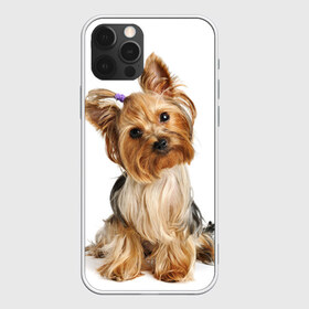 Чехол для iPhone 12 Pro Max с принтом Красотка в Тюмени, Силикон |  | fashion | животное | красавица | лучший друг | модница | няша | причёска | собака | собачка | щенок | щеночек