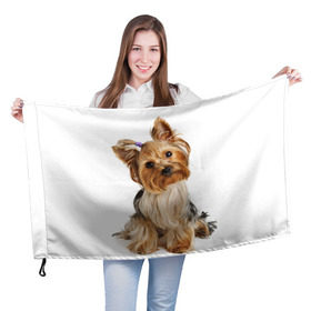 Флаг 3D с принтом Красотка в Тюмени, 100% полиэстер | плотность ткани — 95 г/м2, размер — 67 х 109 см. Принт наносится с одной стороны | fashion | животное | красавица | лучший друг | модница | няша | причёска | собака | собачка | щенок | щеночек