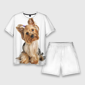 Мужской костюм с шортами 3D с принтом Красотка в Тюмени,  |  | fashion | животное | красавица | лучший друг | модница | няша | причёска | собака | собачка | щенок | щеночек