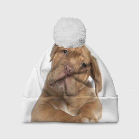 Шапка 3D c помпоном с принтом Грустный щенок в Тюмени, 100% полиэстер | универсальный размер, печать по всей поверхности изделия | животное | лучший друг | милаха | няша | собака | собачка | щенок | щеночек