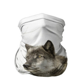 Бандана-труба 3D с принтом Волк во весь рост в Тюмени, 100% полиэстер, ткань с особыми свойствами — Activecool | плотность 150‒180 г/м2; хорошо тянется, но сохраняет форму | волк | хищник