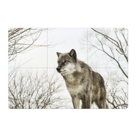Магнитный плакат 3Х2 с принтом Волк во весь рост в Тюмени, Полимерный материал с магнитным слоем | 6 деталей размером 9*9 см | волк | хищник