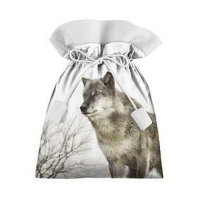 Подарочный 3D мешок с принтом Волк во весь рост в Тюмени, 100% полиэстер | Размер: 29*39 см | Тематика изображения на принте: волк | хищник