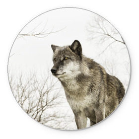 Коврик круглый с принтом Волк во весь рост в Тюмени, резина и полиэстер | круглая форма, изображение наносится на всю лицевую часть | волк | хищник