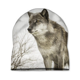 Шапка 3D с принтом Волк во весь рост в Тюмени, 100% полиэстер | универсальный размер, печать по всей поверхности изделия | волк | хищник