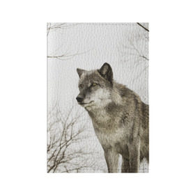Обложка для паспорта матовая кожа с принтом Волк во весь рост в Тюмени, натуральная матовая кожа | размер 19,3 х 13,7 см; прозрачные пластиковые крепления | волк | хищник