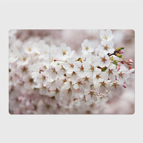 Магнитный плакат 3Х2 с принтом Весеннее цветение в Тюмени, Полимерный материал с магнитным слоем | 6 деталей размером 9*9 см | белый | весна | лепестки | прикольные картинки | цветочки | цветы