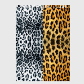 Скетчбук с принтом Леопард Снежный Барс в Тюмени, 100% бумага
 | 48 листов, плотность листов — 100 г/м2, плотность картонной обложки — 250 г/м2. Листы скреплены сверху удобной пружинной спиралью | textures | барс | животное | леопард | пятна | снежный | текстура | чёрное с белым