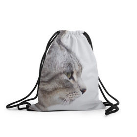 Рюкзак-мешок 3D с принтом Серый кот в Тюмени, 100% полиэстер | плотность ткани — 200 г/м2, размер — 35 х 45 см; лямки — толстые шнурки, застежка на шнуровке, без карманов и подкладки | взгляд | глаза | голова животного | киска | кот | котёнок | кошка | прикольные картинки