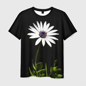 Мужская футболка 3D с принтом Цветок счастья в Тюмени, 100% полиэфир | прямой крой, круглый вырез горловины, длина до линии бедер | лепестки | прикольные картинки | цветочки | цветы