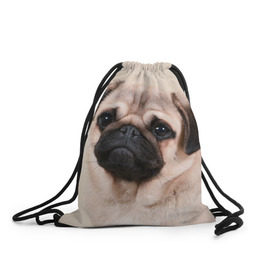 Рюкзак-мешок 3D с принтом Мопс в Тюмени, 100% полиэстер | плотность ткани — 200 г/м2, размер — 35 х 45 см; лямки — толстые шнурки, застежка на шнуровке, без карманов и подкладки | мопс | мопсы | песик | песики | собака | собаки