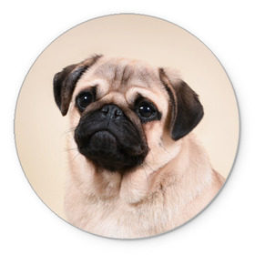 Коврик круглый с принтом Мопс в Тюмени, резина и полиэстер | круглая форма, изображение наносится на всю лицевую часть | мопс | мопсы | песик | песики | собака | собаки
