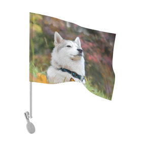 Флаг для автомобиля с принтом Хаски в Тюмени, 100% полиэстер | Размер: 30*21 см | лайка | маламут | песик | песики | собака | собаки | хаски