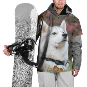 Накидка на куртку 3D с принтом Хаски в Тюмени, 100% полиэстер |  | Тематика изображения на принте: лайка | маламут | песик | песики | собака | собаки | хаски