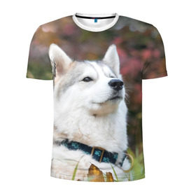 Мужская футболка 3D спортивная с принтом Хаски в Тюмени, 100% полиэстер с улучшенными характеристиками | приталенный силуэт, круглая горловина, широкие плечи, сужается к линии бедра | Тематика изображения на принте: лайка | маламут | песик | песики | собака | собаки | хаски