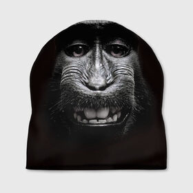 Шапка 3D с принтом обезьяна в Тюмени, 100% полиэстер | универсальный размер, печать по всей поверхности изделия | Тематика изображения на принте: взгляд | голова | животные | обезьяна | природа