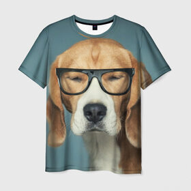 Мужская футболка 3D с принтом Бигль в Тюмени, 100% полиэфир | прямой крой, круглый вырез горловины, длина до линии бедер | бигль | гончая | дворняжка | охотничья | песик | песики | собака | собаки