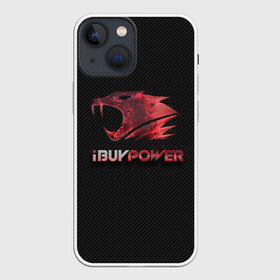 Чехол для iPhone 13 mini с принтом cs:go   iBUYPOWER (KATOWICE 2014) в Тюмени,  |  | Тематика изображения на принте: cs | csgo | го | кс