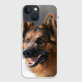 Чехол для iPhone 13 mini с принтом Длинношерстная овчарка в Тюмени,  |  | овчарка | овчарки | песик | песики | собака | собаки