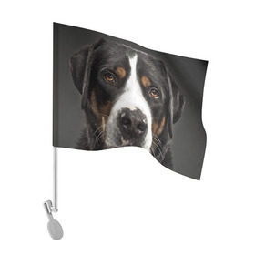 Флаг для автомобиля с принтом Зенненхунд в Тюмени, 100% полиэстер | Размер: 30*21 см | большая собака | зенненхунд | пес | песик | сенбернар | собака | собаки