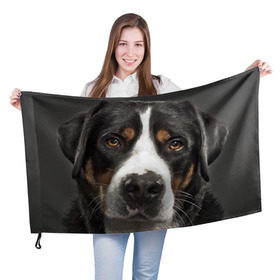 Флаг 3D с принтом Зенненхунд в Тюмени, 100% полиэстер | плотность ткани — 95 г/м2, размер — 67 х 109 см. Принт наносится с одной стороны | большая собака | зенненхунд | пес | песик | сенбернар | собака | собаки