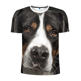 Мужская футболка 3D спортивная с принтом Зенненхунд в Тюмени, 100% полиэстер с улучшенными характеристиками | приталенный силуэт, круглая горловина, широкие плечи, сужается к линии бедра | большая собака | зенненхунд | пес | песик | сенбернар | собака | собаки