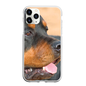 Чехол для iPhone 11 Pro матовый с принтом Ротвейлер в Тюмени, Силикон |  | большая | пес | песик | псина | ротвейлер | ротвейлеры | собака | собаки