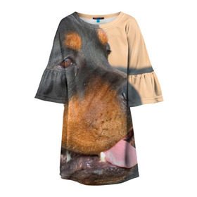 Детское платье 3D с принтом Ротвейлер в Тюмени, 100% полиэстер | прямой силуэт, чуть расширенный к низу. Круглая горловина, на рукавах — воланы | большая | пес | песик | псина | ротвейлер | ротвейлеры | собака | собаки