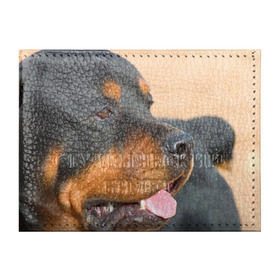Обложка для студенческого билета с принтом Ротвейлер в Тюмени, натуральная кожа | Размер: 11*8 см; Печать на всей внешней стороне | большая | пес | песик | псина | ротвейлер | ротвейлеры | собака | собаки