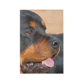 Обложка для паспорта матовая кожа с принтом Ротвейлер в Тюмени, натуральная матовая кожа | размер 19,3 х 13,7 см; прозрачные пластиковые крепления | большая | пес | песик | псина | ротвейлер | ротвейлеры | собака | собаки
