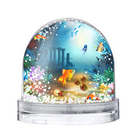 Снежный шар с принтом Золотая рыбка в Тюмени, Пластик | Изображение внутри шара печатается на глянцевой фотобумаге с двух сторон | Тематика изображения на принте: вода | водоросли | море | подводный мир | природа | рыба | рыбка | туризм