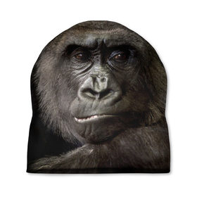 Шапка 3D с принтом Взгляд в Тюмени, 100% полиэстер | универсальный размер, печать по всей поверхности изделия | взгляд | голова | животные | обезьяна | природа