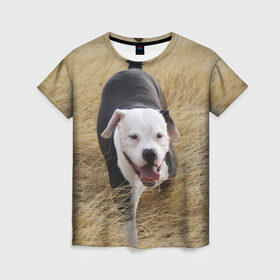 Женская футболка 3D с принтом Пит-буль на траве в Тюмени, 100% полиэфир ( синтетическое хлопкоподобное полотно) | прямой крой, круглый вырез горловины, длина до линии бедер | амстафф | буль | пес | песик | питбули | питбуль | собака | собаки | стафф | терьер