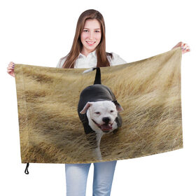 Флаг 3D с принтом Пит-буль на траве в Тюмени, 100% полиэстер | плотность ткани — 95 г/м2, размер — 67 х 109 см. Принт наносится с одной стороны | амстафф | буль | пес | песик | питбули | питбуль | собака | собаки | стафф | терьер