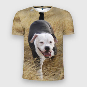 Мужская футболка 3D спортивная с принтом Пит-буль на траве в Тюмени, 100% полиэстер с улучшенными характеристиками | приталенный силуэт, круглая горловина, широкие плечи, сужается к линии бедра | Тематика изображения на принте: амстафф | буль | пес | песик | питбули | питбуль | собака | собаки | стафф | терьер