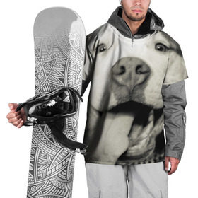 Накидка на куртку 3D с принтом Пит-буль в Тюмени, 100% полиэстер |  | Тематика изображения на принте: амстафф | буль | пес | песик | питбули | питбуль | собака | собаки | стафф | терьер