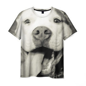 Мужская футболка 3D с принтом Пит-буль в Тюмени, 100% полиэфир | прямой крой, круглый вырез горловины, длина до линии бедер | Тематика изображения на принте: амстафф | буль | пес | песик | питбули | питбуль | собака | собаки | стафф | терьер