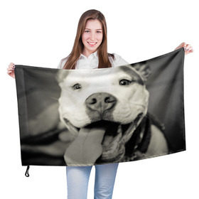 Флаг 3D с принтом Пит-буль в Тюмени, 100% полиэстер | плотность ткани — 95 г/м2, размер — 67 х 109 см. Принт наносится с одной стороны | амстафф | буль | пес | песик | питбули | питбуль | собака | собаки | стафф | терьер