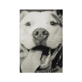 Обложка для паспорта матовая кожа с принтом Пит-буль в Тюмени, натуральная матовая кожа | размер 19,3 х 13,7 см; прозрачные пластиковые крепления | амстафф | буль | пес | песик | питбули | питбуль | собака | собаки | стафф | терьер