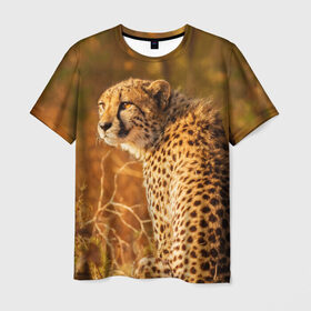 Мужская футболка 3D с принтом Дикая кошка в Тюмени, 100% полиэфир | прямой крой, круглый вырез горловины, длина до линии бедер | взгляд | гепард | дикая кошка | кошка | охота | сафари | хищник