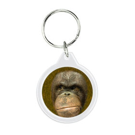 Брелок круглый с принтом Взгляд в Тюмени, пластик и полированная сталь | круглая форма, металлическое крепление в виде кольца | взгляд | голова | животные | о.м.с.к. | обезьяна | природа