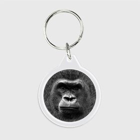 Брелок круглый с принтом Взгляд в Тюмени, пластик и полированная сталь | круглая форма, металлическое крепление в виде кольца | взгляд | голова | животные | о.м.с.к. | обезьяна | природа
