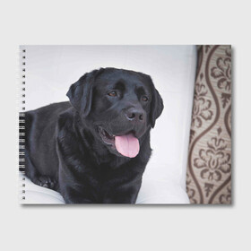 Альбом для рисования с принтом Черный лабрадор в Тюмени, 100% бумага
 | матовая бумага, плотность 200 мг. | большая | золотистый | лабрадор | лабрадоры | палевый | песик | ретривер | собака | собаки