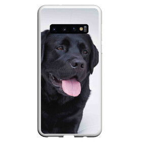 Чехол для Samsung Galaxy S10 с принтом Черный лабрадор в Тюмени, Силикон | Область печати: задняя сторона чехла, без боковых панелей | большая | золотистый | лабрадор | лабрадоры | палевый | песик | ретривер | собака | собаки