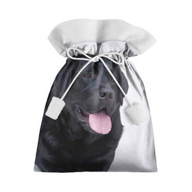 Подарочный 3D мешок с принтом Черный лабрадор в Тюмени, 100% полиэстер | Размер: 29*39 см | большая | золотистый | лабрадор | лабрадоры | палевый | песик | ретривер | собака | собаки