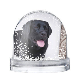 Снежный шар с принтом Черный лабрадор в Тюмени, Пластик | Изображение внутри шара печатается на глянцевой фотобумаге с двух сторон | большая | золотистый | лабрадор | лабрадоры | палевый | песик | ретривер | собака | собаки