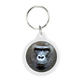 Брелок круглый с принтом Взгляд в Тюмени, пластик и полированная сталь | круглая форма, металлическое крепление в виде кольца | взгляд | голова | животные | обезьяна | природа