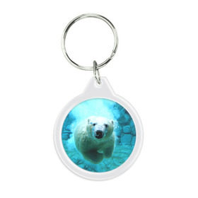 Брелок круглый с принтом медведь в Тюмени, пластик и полированная сталь | круглая форма, металлическое крепление в виде кольца | медведь | пловец